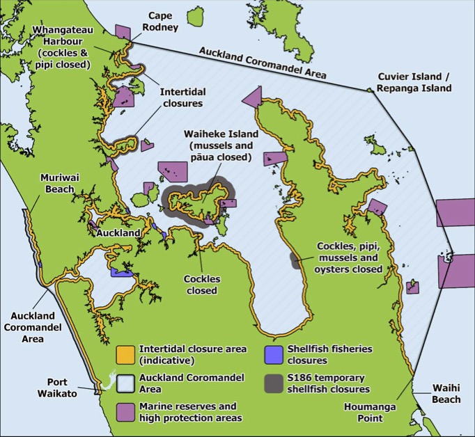 Auckland-Coromandel Shellfish Closure Options Put Waiheke Coastline In Fisheries Review
