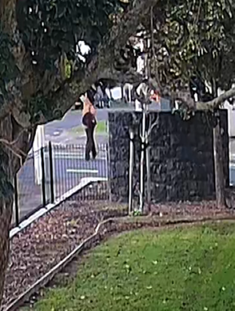 Auckland Police Seek Person Who Can Assist After Fatal Onehunga House Fire