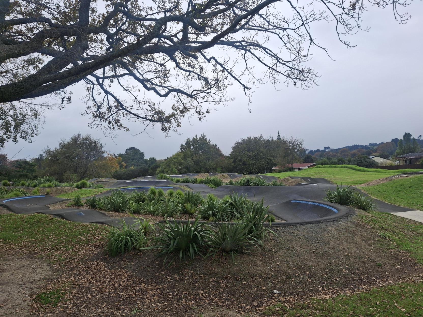 Papakura Local Board Adopts 25 New Park Names Across Local Reserves