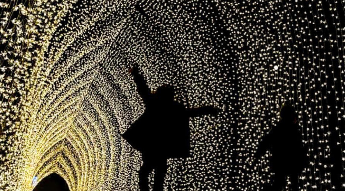 Winter Light Cathedral Gives Aotea Square an Easy After-Dark Plan